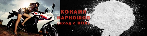 сатива Вяземский
