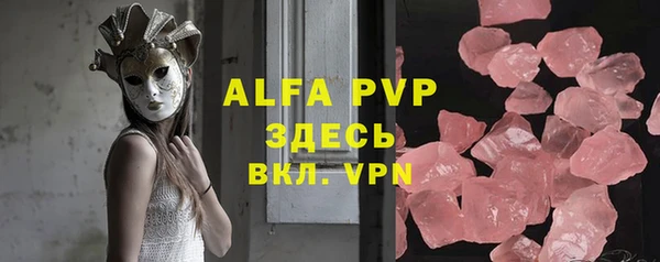 сатива Вяземский