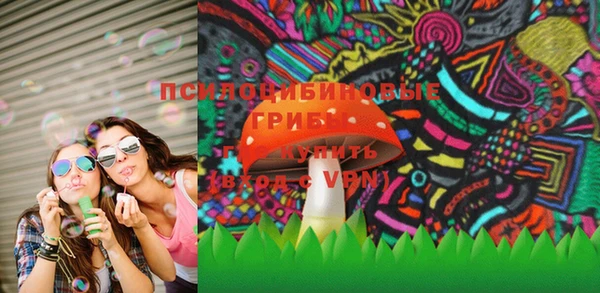 сатива Вяземский