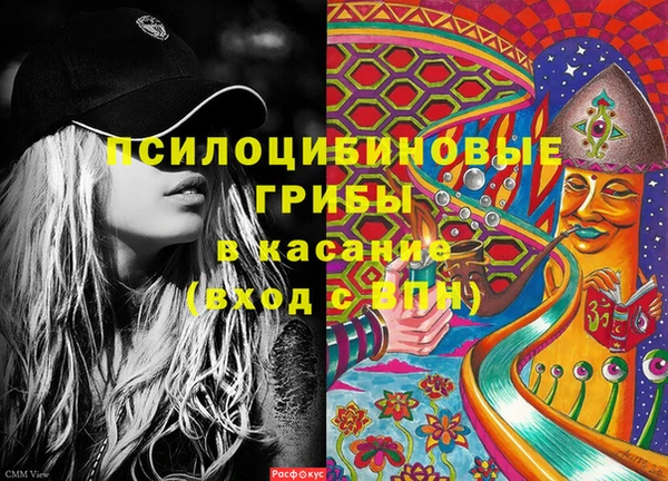 сатива Вяземский