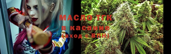 сатива Вяземский