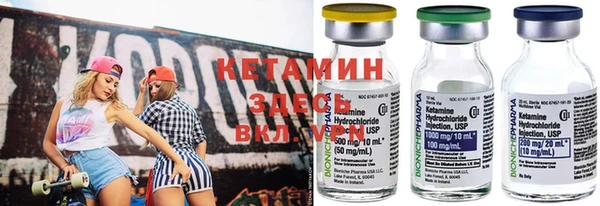 сатива Вяземский