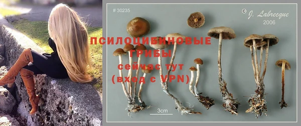ALPHA-PVP Гусь-Хрустальный