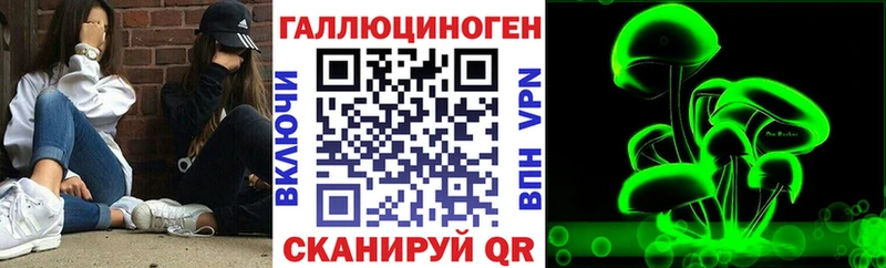omg сайт  Димитровград  Псилоцибиновые грибы мухоморы  где найти наркотики 