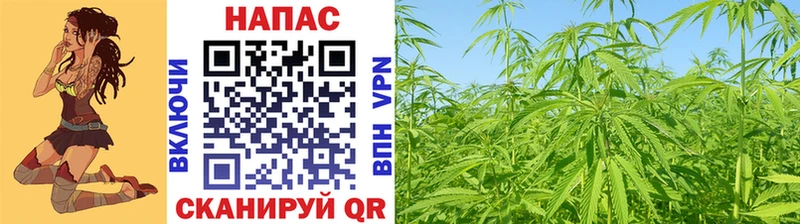 Шишки марихуана White Widow  Димитровград 